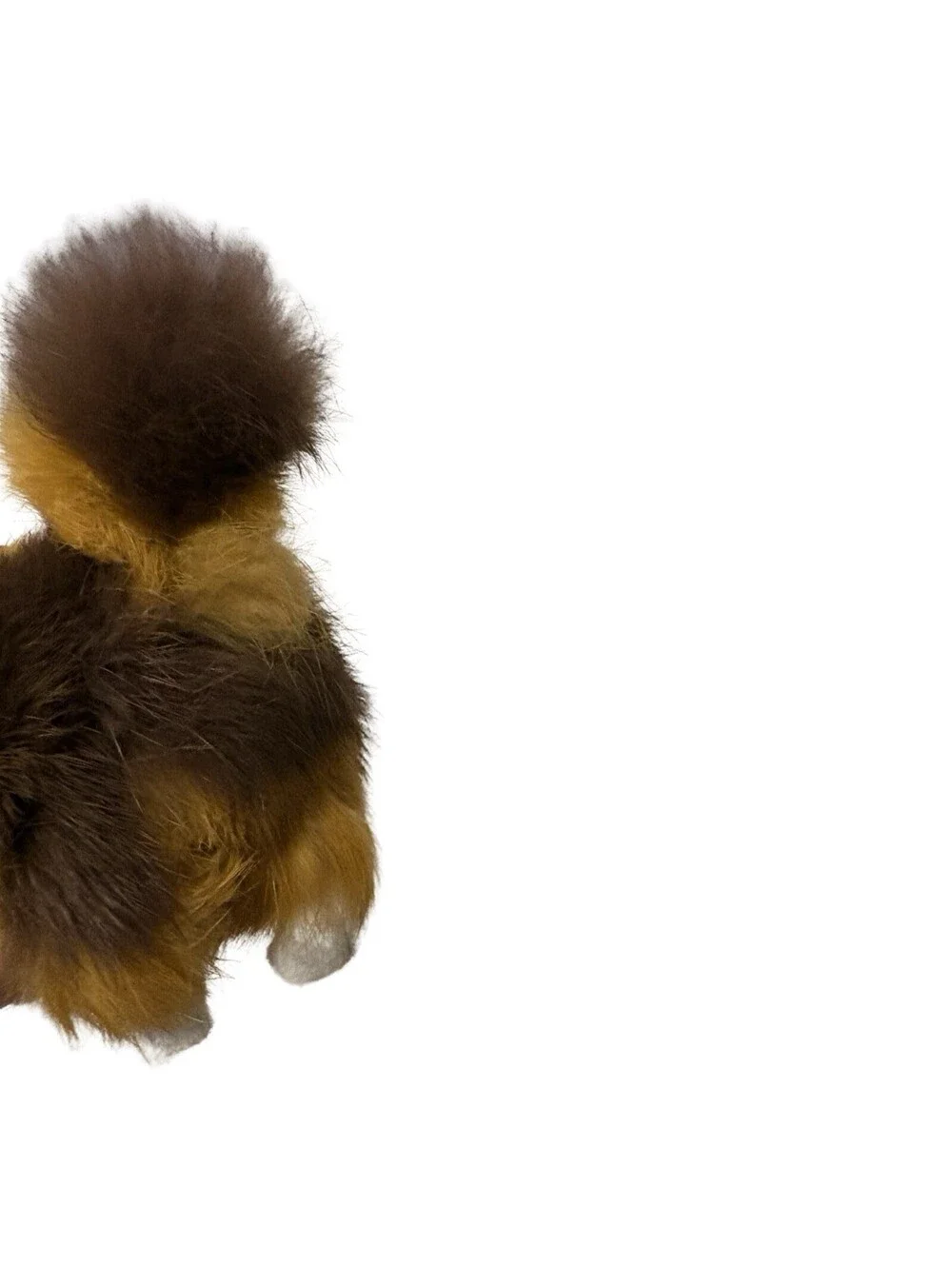 Realistic Cat Fur 5